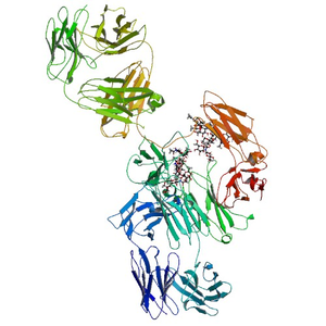 Bevacizumab protein structure V16K25